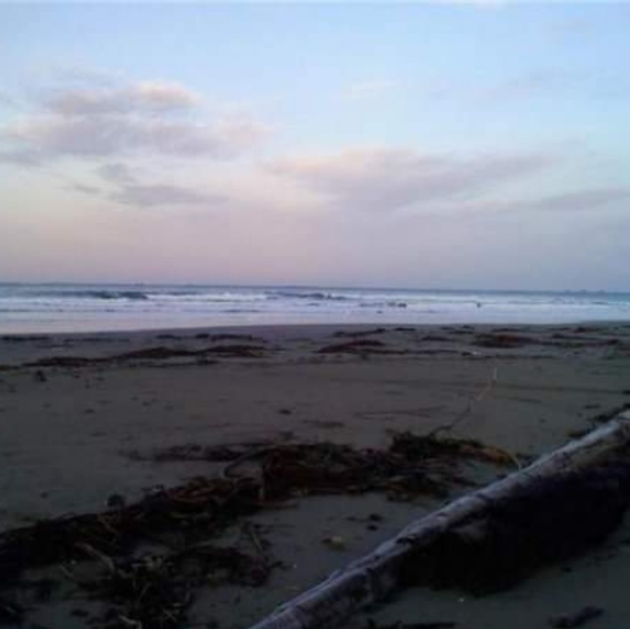 Meet your Posher, Christi - Picture 3 of 4